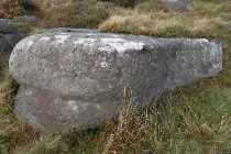 Gritstone boulder